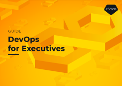 DevOps for executives
