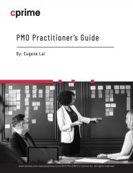 PMO practitioner’s guide