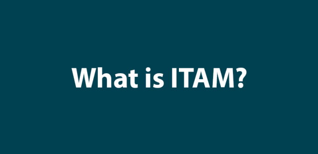 What is IT asset management (ITAM)?